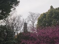 -南阳卧龙岗武侯祠