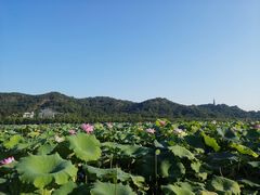 -杭州西湖风景名胜区-钱塘苏小小之墓