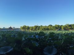 -长春市南湖公园