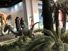 -辽宁古生物博物馆
