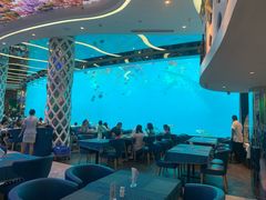 -瑞德姆美人鱼海底演艺主题餐厅(亚龙湾店)
