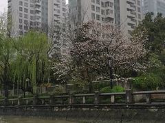 -中国京杭大运河博物馆