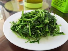 -范记靖远羊羔肉(博物馆店)