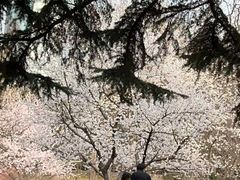 -万宝海鲜舫(劳动公园店)