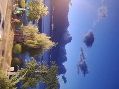 -野菌皇海景野生菌火锅(滨海大道店)