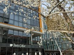 -Peet's 皮爷咖啡(望京小街店)