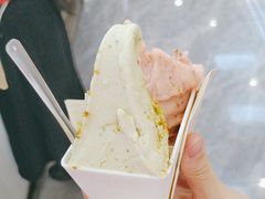 -野人先生现做冰淇淋(西安赛格店)