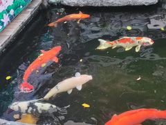 -天竺岩寺