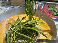 -王奋斗贵州酸汤牛肉火锅