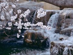 -国家植物园