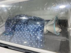 -四月宠物医院·猫专科·心脏专科·内科(转塘店)