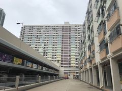 -彩虹村