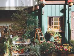 -三鹰之森吉卜力美术馆