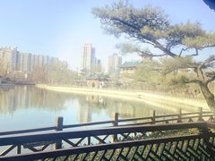 -迎泽公园