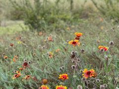 -野鸭湖国家湿地公园