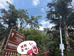 -海南热带雨林国家公园吊罗山景区