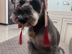 -心仪动物医院·牙专科·肿瘤·心脏科(西客站院)