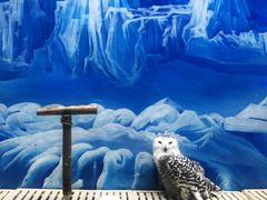 -成都浩海立方海洋公园