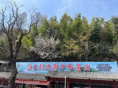 -罗田薄刀峰风景区
