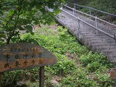 -茅兰沟国家森林公园