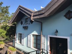 -深圳东部华侨城茵特拉根酒店