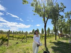 -圣露庄园·露营·烤肉·亲子