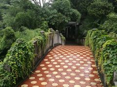 -菊花台公园