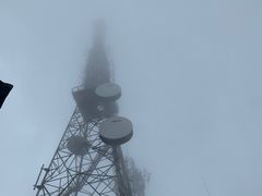 -武陵山森林公园