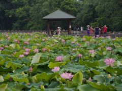 -金山公园