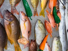 -琼菜人家·海南菜·文昌鸡(文昌大道店)