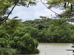 -华侨城湿地公园
