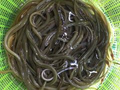 iphone_upload_pic-覃记海鲜美食餐厅