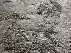 -徐州汉画像石艺术馆