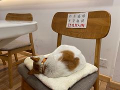 -猫的天空之城概念书店(苏州平江店)