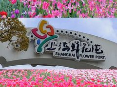 -上海鲜花港
