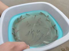 -奉贤海滩