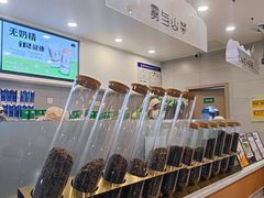 -雾与山茶(大禹城店)