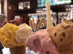 薰衣草黑莓-Gelateria Dondoli