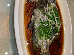 -森谷美食公园(杨行店)