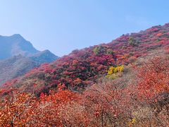 -水峪民俗村