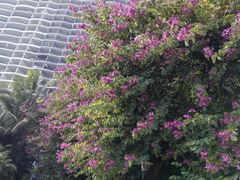 -碧桂园十里银滩