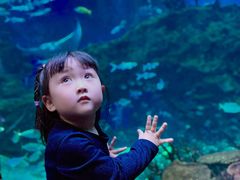 -海合安成都极地海洋公园