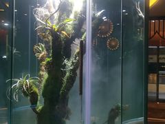-泰悠谷养生SPA(世茂商业街店)