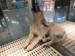 -乐宠宠物店(世纪金源店)