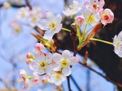 -江苏三台山国家森林公园