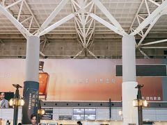 -文府路口(Taiwan High Speed Rail Zuoying Station)