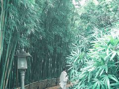-广州兰圃
