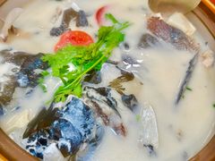 -全乐鱼馆·淳牌有机鱼直营店
