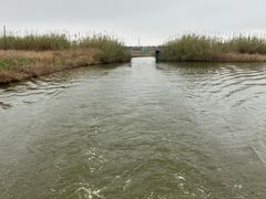 -宁波杭州湾国家湿地公园