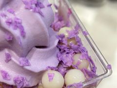 -喜乐村芋泥脑袋家族(三里屯店)